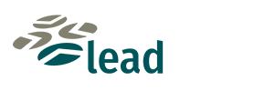 lead serviços